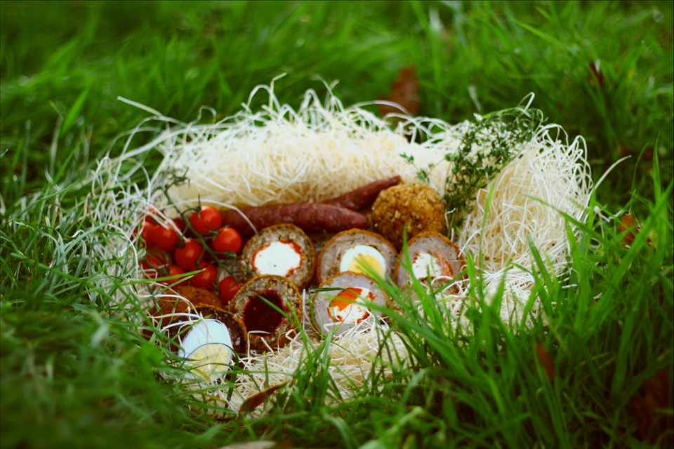 Scotch Eggs cut in half lay on a bed of hay in the grass